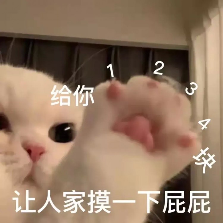 为爱鼓掌时猫为啥跟着铲屎的一起扭腰